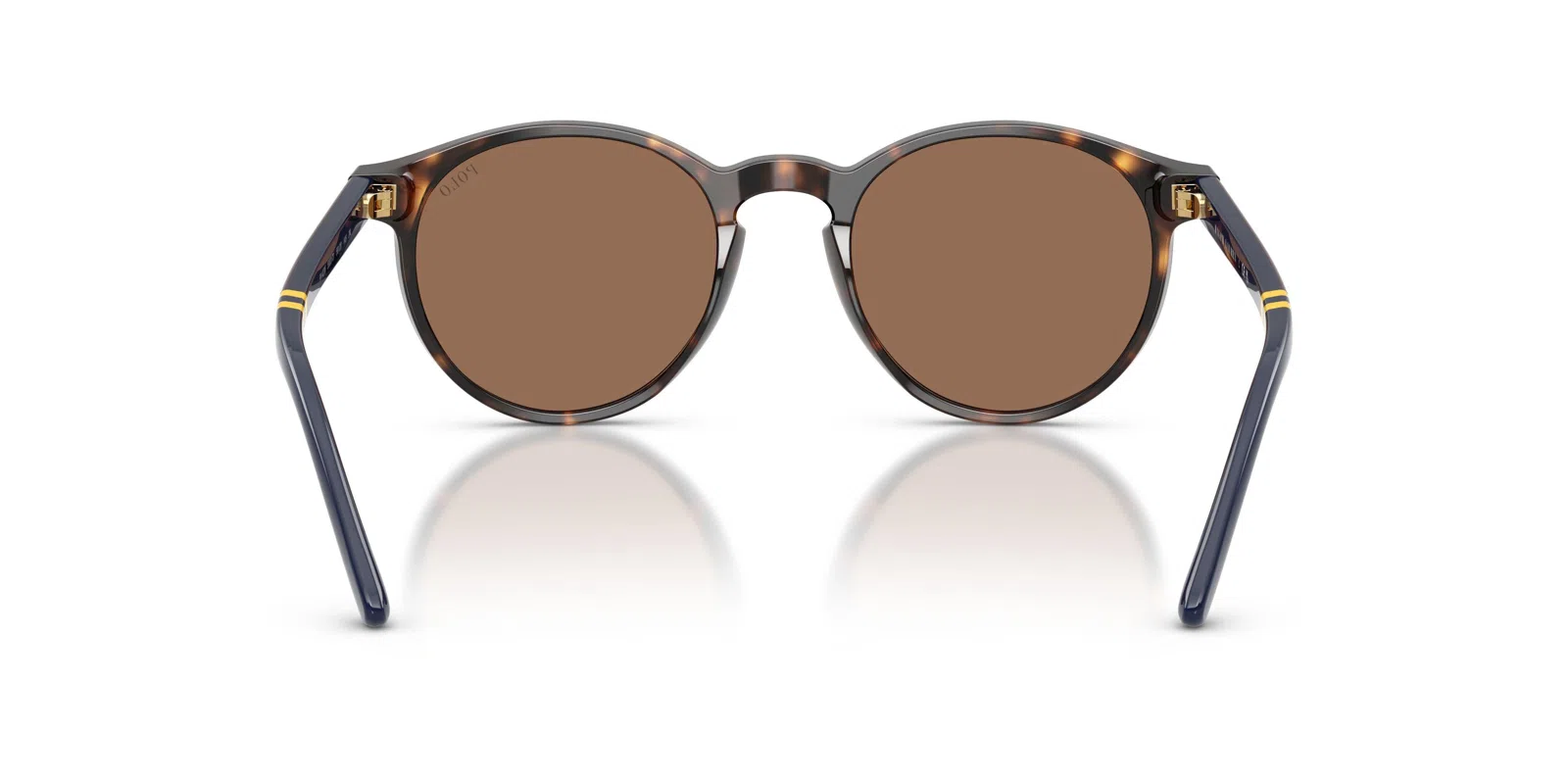 Polo 4236 Sunglasses - view 22